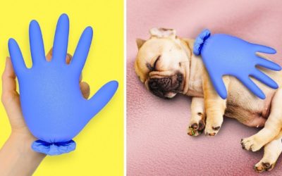 37 ГЕНИАЛЬНЫХ ЛАЙФХАКОВ, ОБЛЕГЧАЮЩИХ ЖИЗНЬ