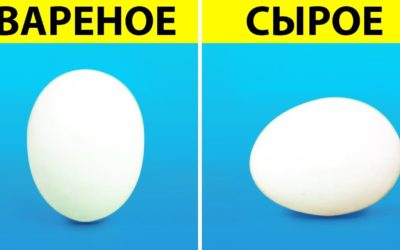 27 ЯИЧНЫХ ЛАЙФХАКОВ, ЧТОБЫ СЭКОНОМИТЬ ВРЕМЯ И ДЕНЬГИ