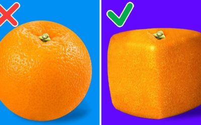 24 НЕВЕРОЯТНО ПРОСТЫХ ЛАЙФХАКОВ С ЕДОЙ