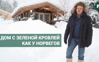 Мини-дом с зеленой кровлей. Каркасная берлога по уму // FORUMHOUSE