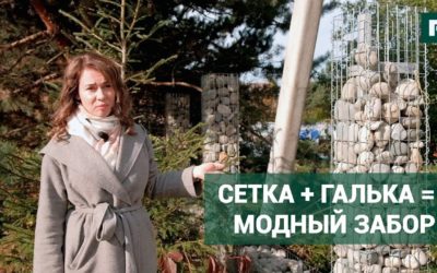 Забор из габионов // FORUMHOUSE