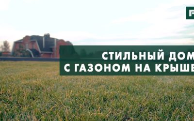 Современный дом с зеленой эксплуатируемой кровлей // FORUMHOUSE