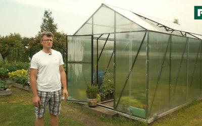 Сарай, теплица и дровник — просто и недорого, своими руками // FORUMHOUSE