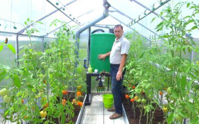 Умная теплица своими руками. Как автоматизировать выращивание овощей //FORUMHOUSE