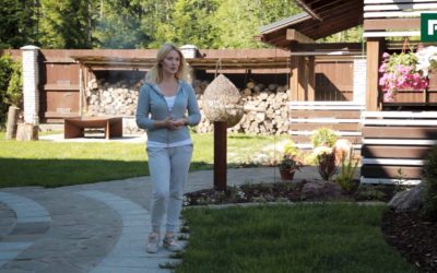 Ландшафтный дизайн по собственному проекту // FORUMHOUSE