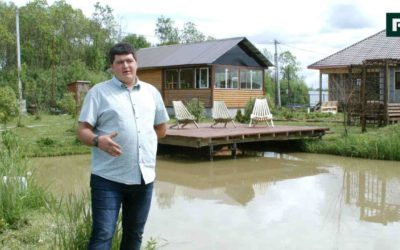 Приусадебное хозяйство: птицеводство, пруд с рыбами, домашний сыр // FORUMHOUSE