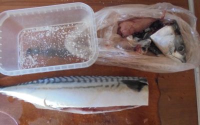 Как засолить скумбрию. Два варианта