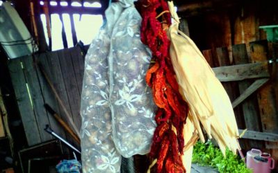 Как убрать чеснок на зимнее хранение без лишней мороки