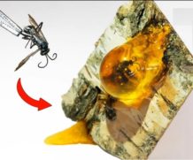 Оса в смоле — картина из эпоксидной смолы