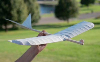 Планер а-ля  «Da Vinci»