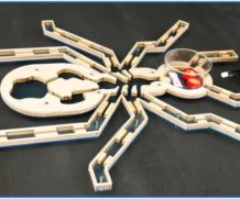 Простая муравьиная ферма своими руками