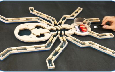 Простая муравьиная ферма своими руками