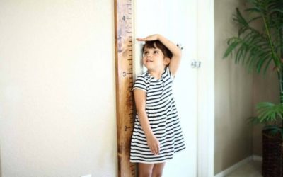 Ростомер своими руками